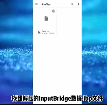 InputBridge