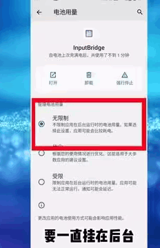 InputBridge