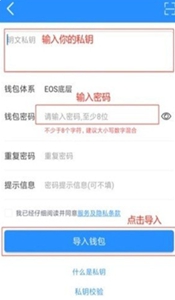 topay钱包新版