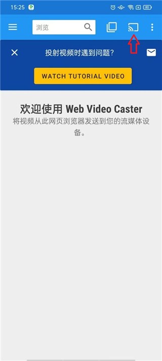 Web Video Caster