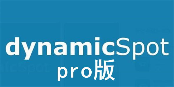 dynamicSpot pro