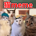 猫meme搞怪冒险