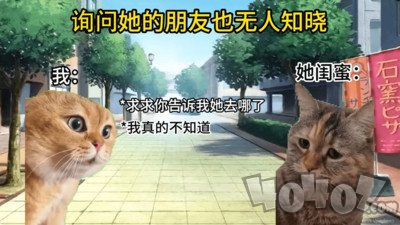 猫meme搞怪冒险