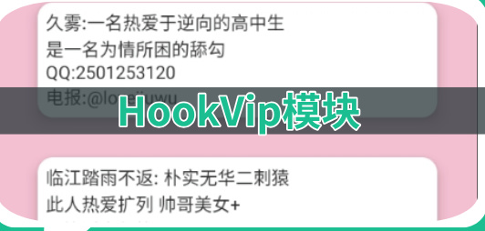 HookVip模块