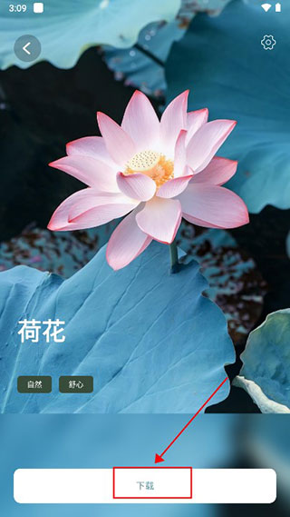正念睡眠最新版