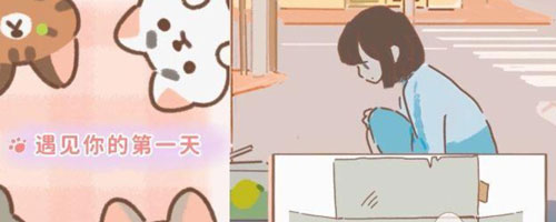 遇见他的猫