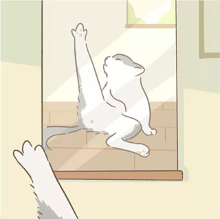 遇见他的猫