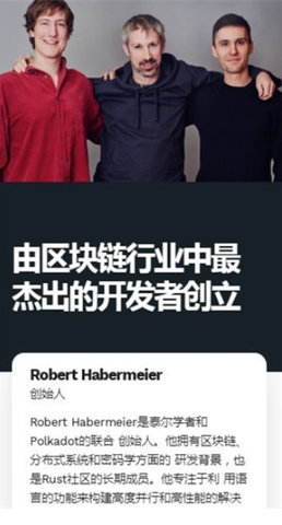 波卡币正版