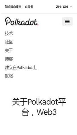 波卡币正版