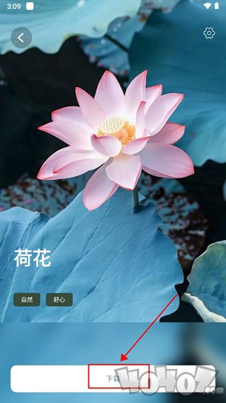 正念睡眠app安卓