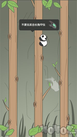 熊猫爬树坐虫子