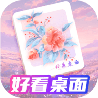 好看桌面app