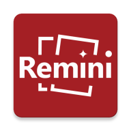 remini专业