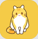 领养一只流浪猫